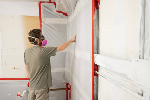 Best Attic Mold Removal  in Mountain Green, UT